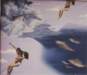 Photo Number 13